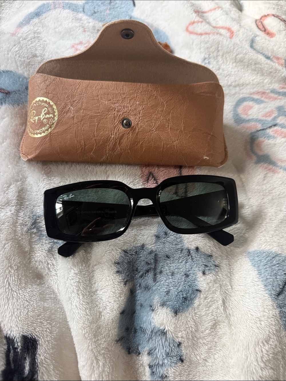 Ray-Ban sunglasses & case